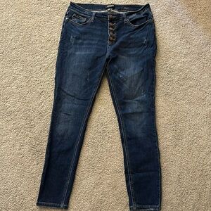 Judy Blue Skinny Jeans